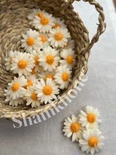 قالب سیلیکونی گل بابونه